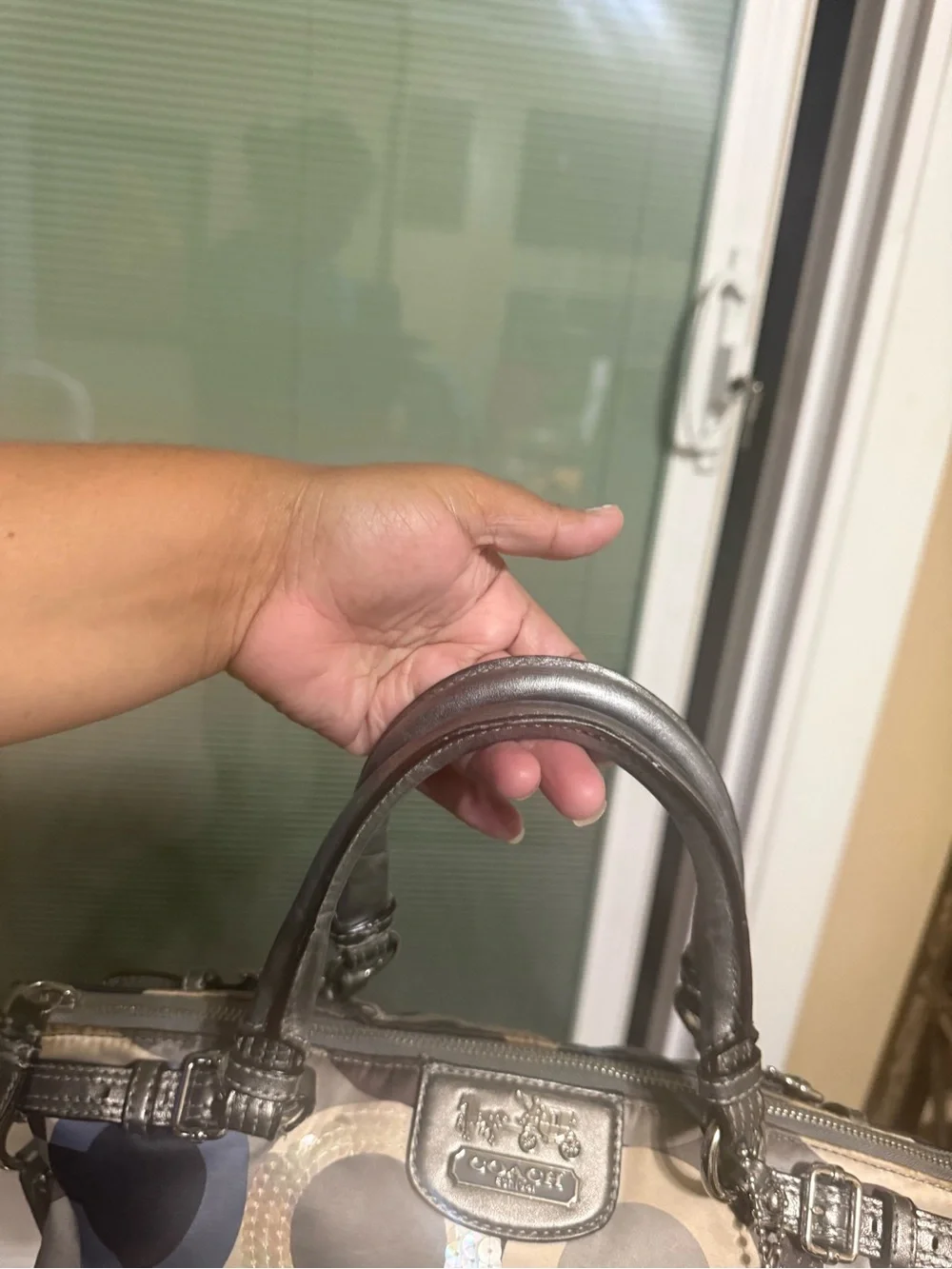 Coach Metallic Gray Signature Circle Shoulder Bag